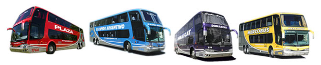bUSES