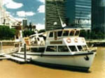 Humberto M